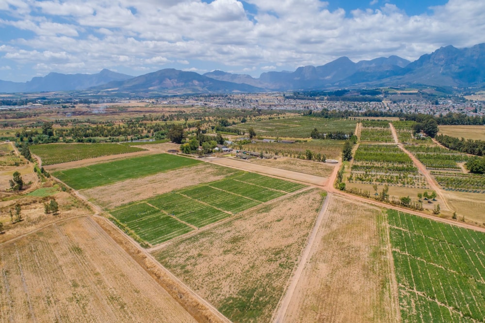 Mixed use farm for sale in Paarl Rural - TK1642542