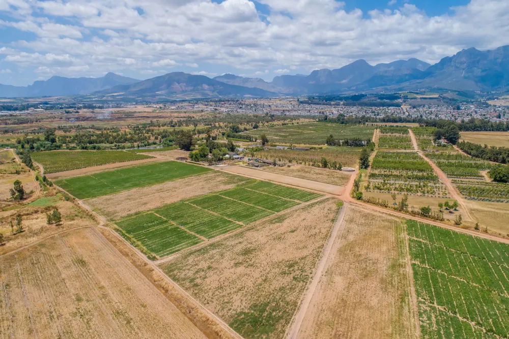 Mixed use farm for sale in Paarl Rural - TK1642542 Mixed use farm for sale in Paarl Rural - TK1642542
