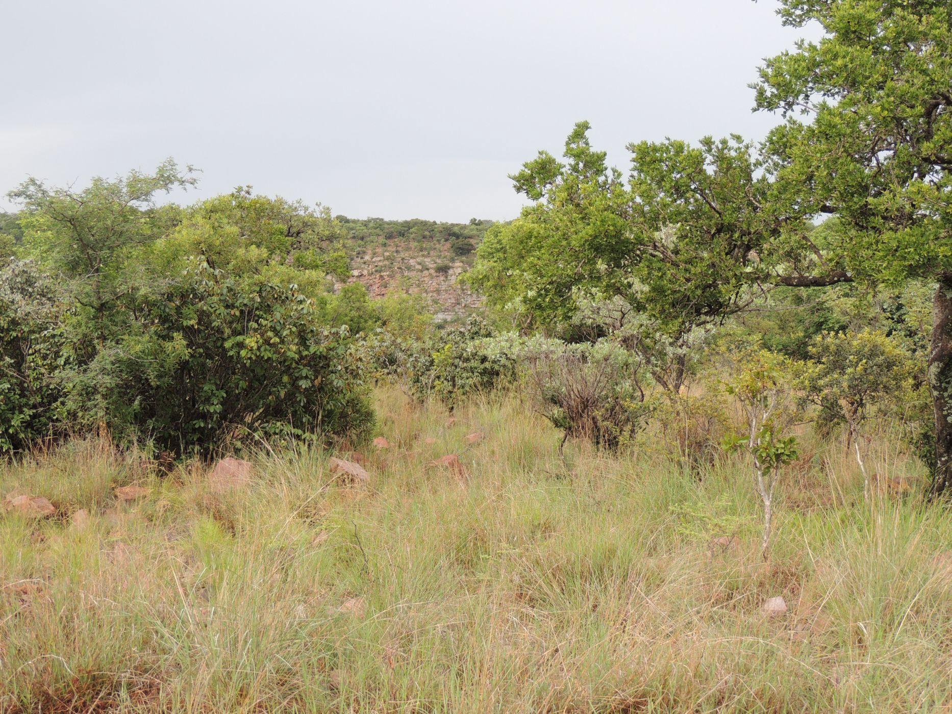 Vacant land for sale in Bela Bela Rural - 1MDM1659542