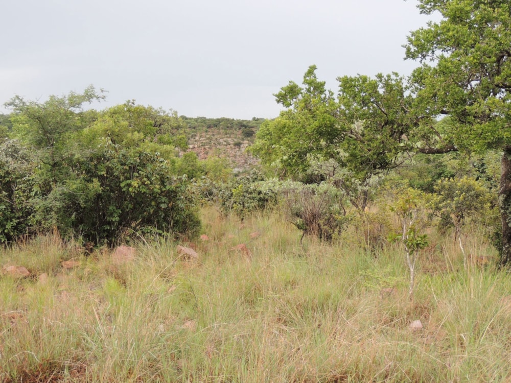 Vacant land for sale in Bela Bela Rural - 1MDM1659542