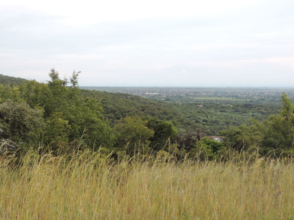 Vacant land for sale in Bela Bela Rural - 1MDM1659542