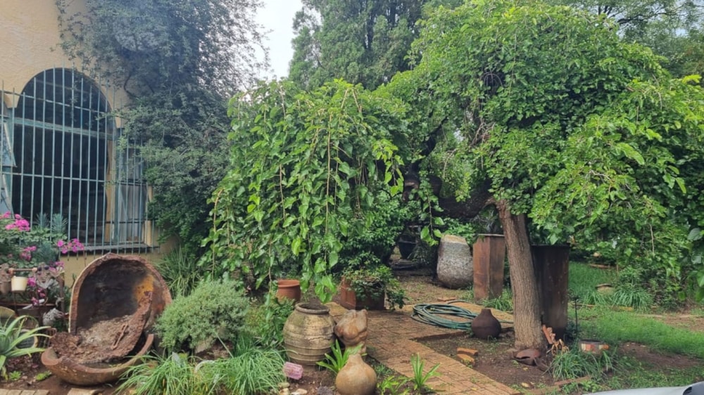 House for sale in Dunnottar - 1SP1643082 House for sale in Dunnottar - 1SP1643082