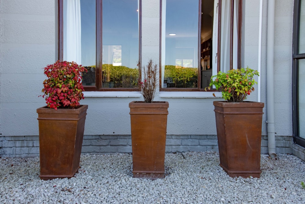 Apartment to rent in Cutty Sark - 1KG1704977 Apartment to rent in Cutty Sark - 1KG1704977