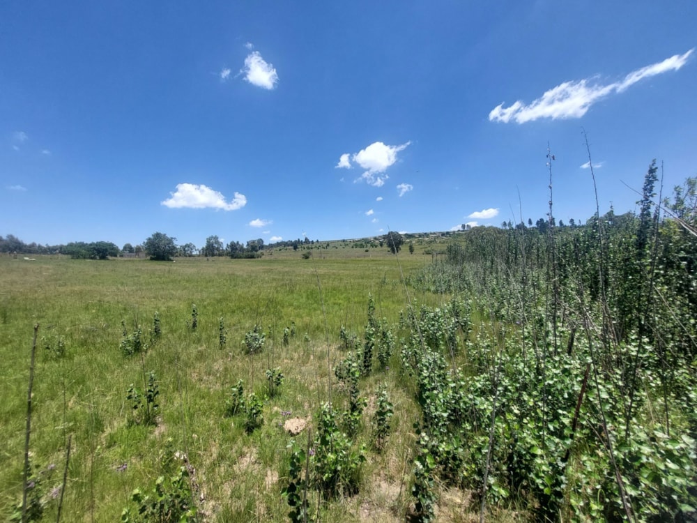 Vacant land for sale in Paul Roux - 1BTH1643027