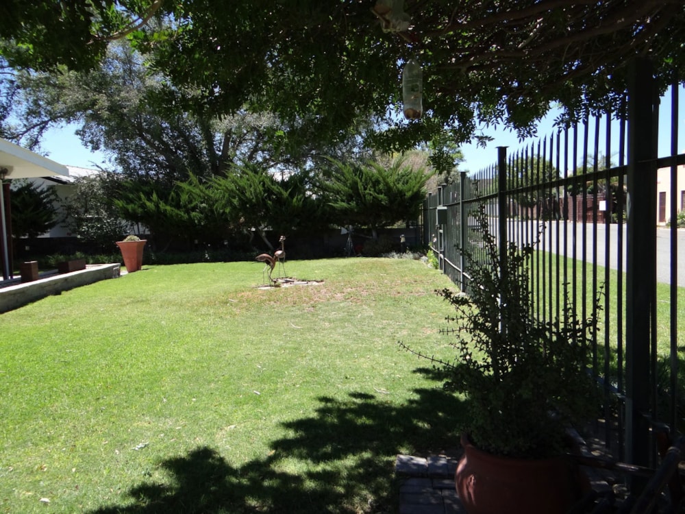 House sold in Hospital Hill, Beaufort West - 1KK1643189 House sold in Hospital Hill, Beaufort West - 1KK1643189