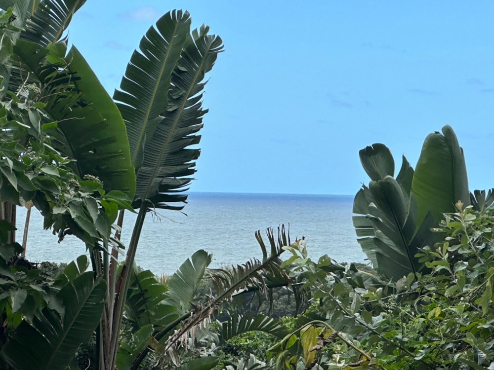 Residential vacant land for sale in Leisure Bay - 1PD1643202 Residential vacant land for sale in Leisure Bay - 1PD1643202