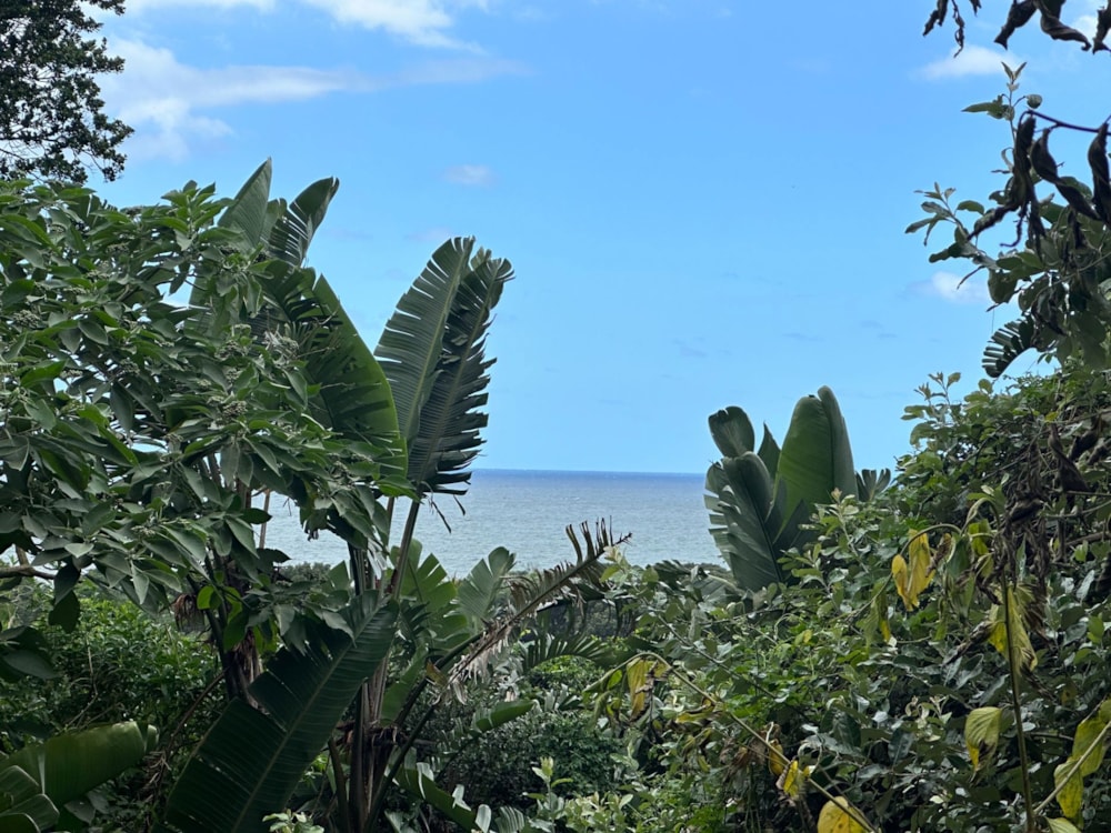 Residential vacant land for sale in Leisure Bay - 1PD1643202