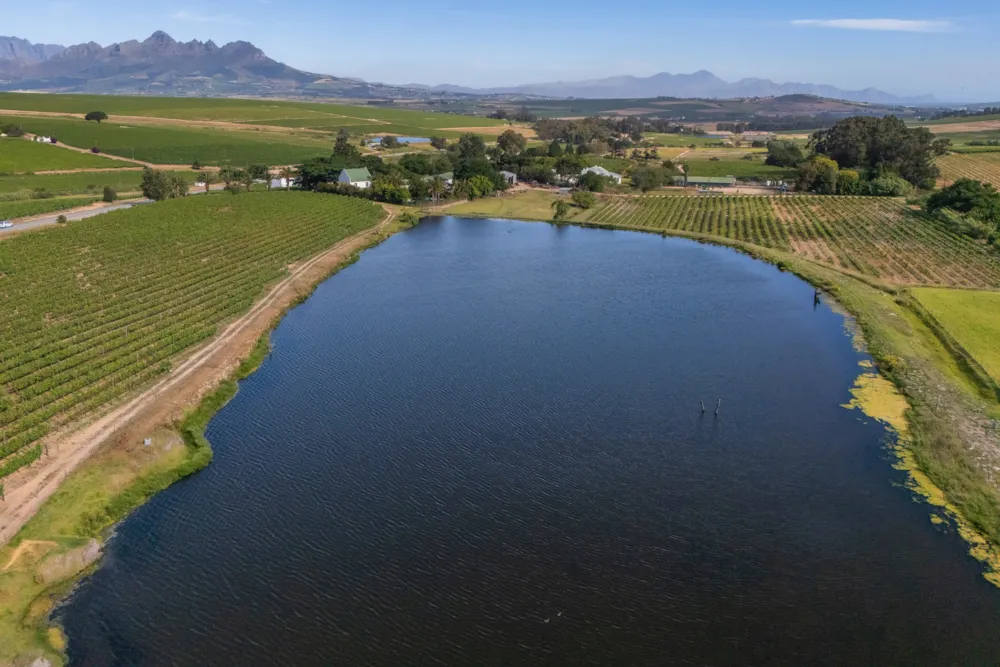 Wine farm sold in Stellenbosch Farms - ST1643322 Wine farm sold in Stellenbosch Farms - ST1643322