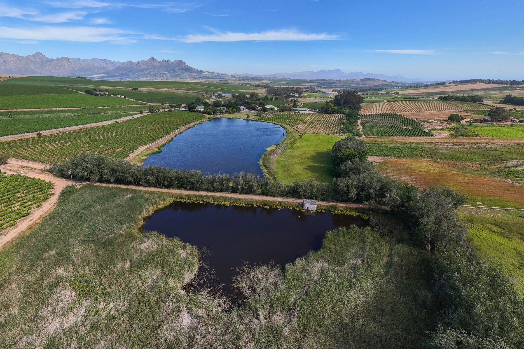 Wine farm for sale in Stellenbosch Farms - ST1643322