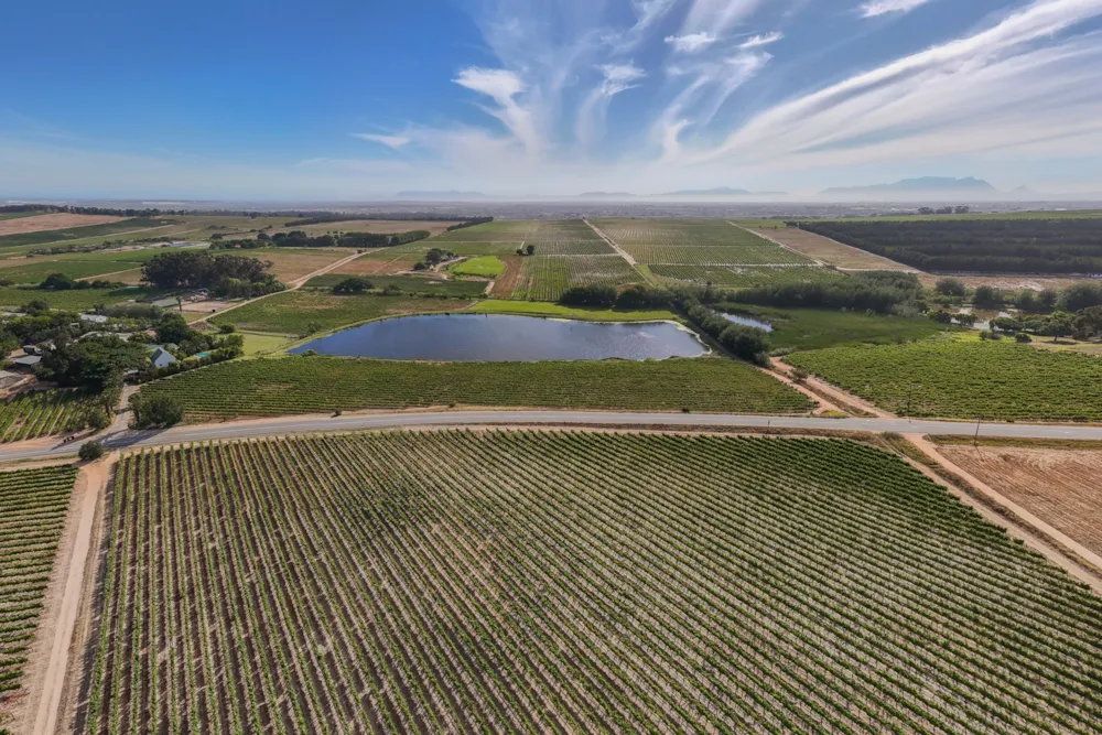 Wine farm sold in Stellenbosch Farms - ST1643322 Wine farm sold in Stellenbosch Farms - ST1643322