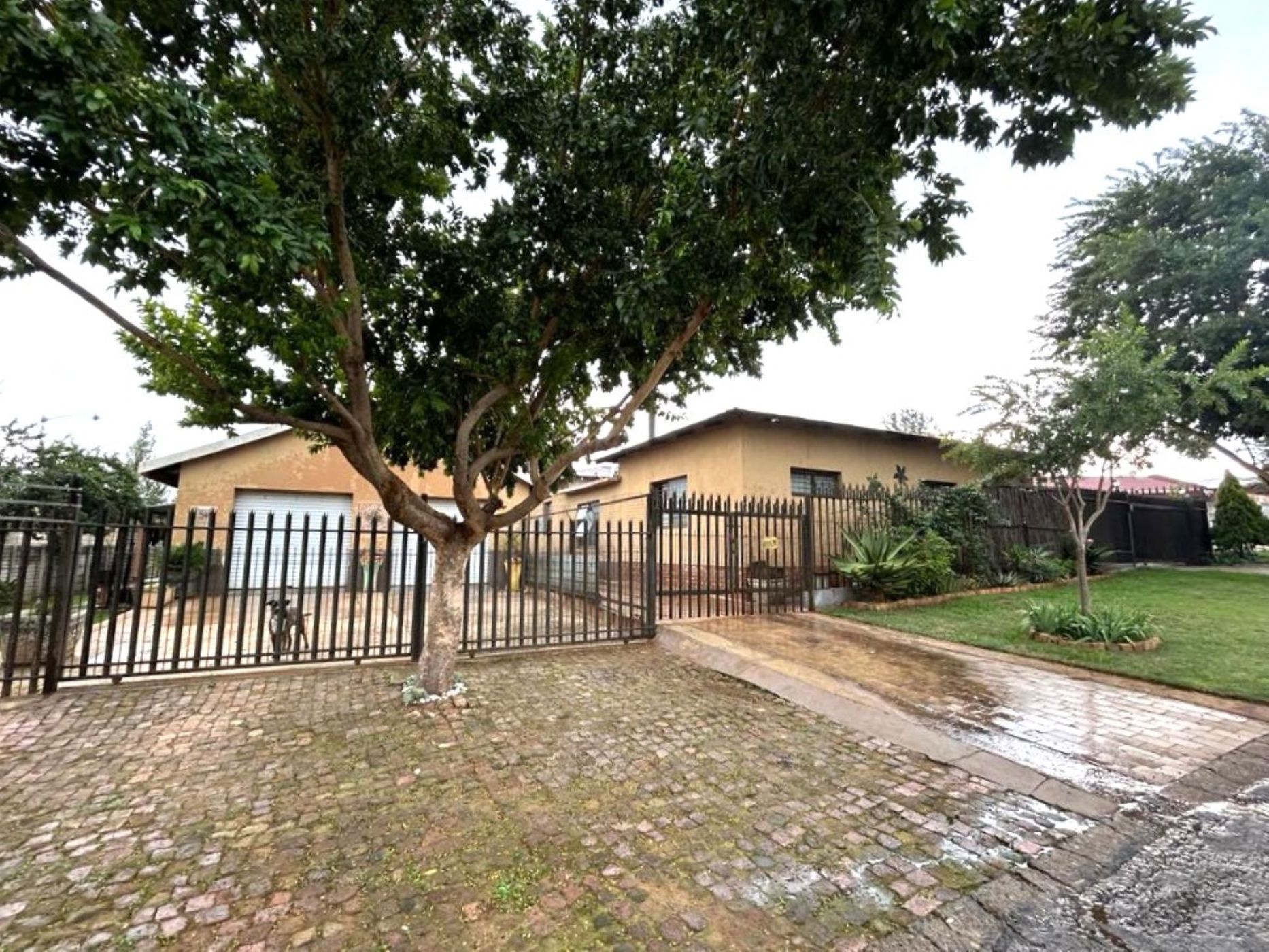 House for sale in Rensburg - 1SP1643556