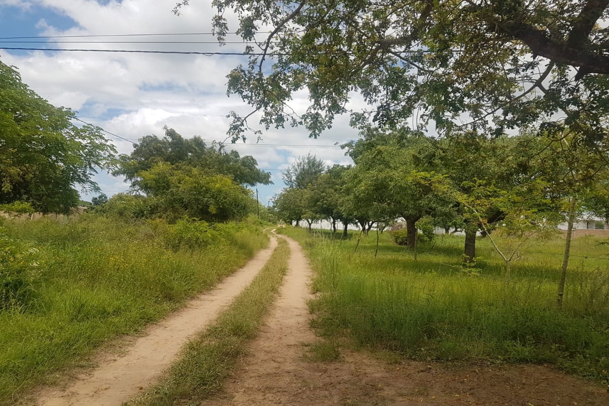 Vacant land for investment in Catembe, Mozambique - 3MQ1643822