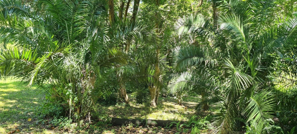 Residential vacant land for sale in Banners Rest - 1PD1643887