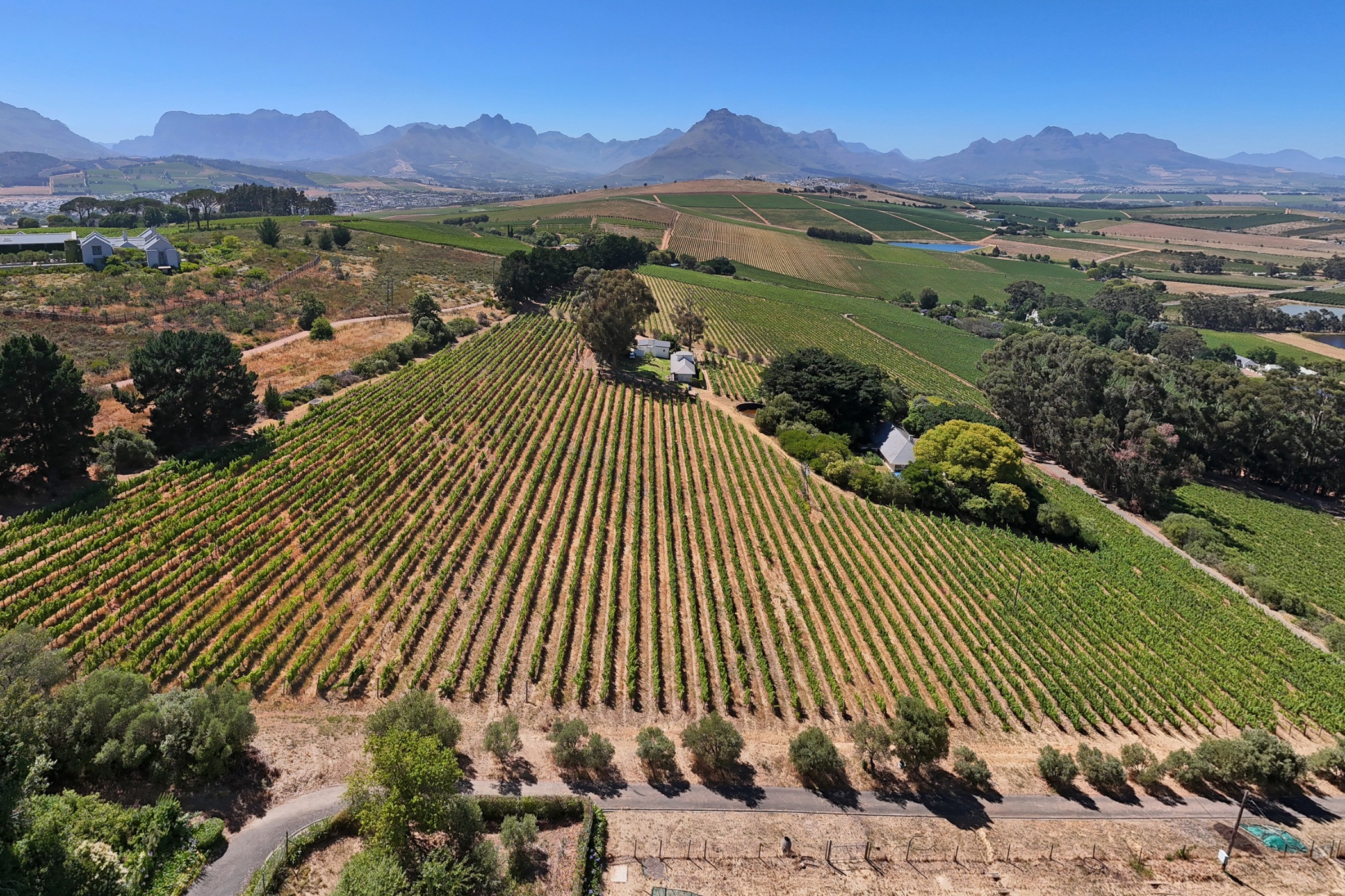 Wine farm for sale in Stellenbosch Farms - ST1643901