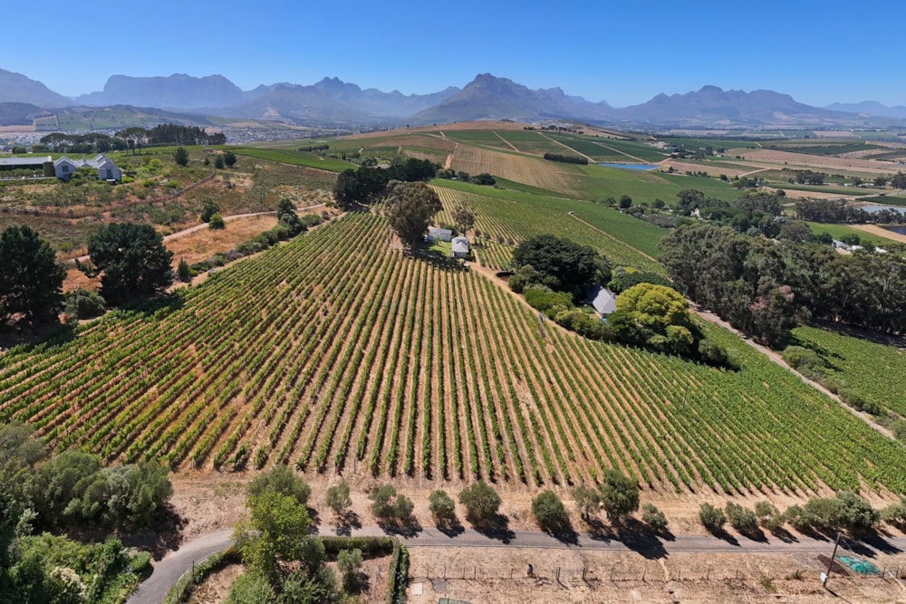 Wine farm for sale in Stellenbosch Farms - ST1643901