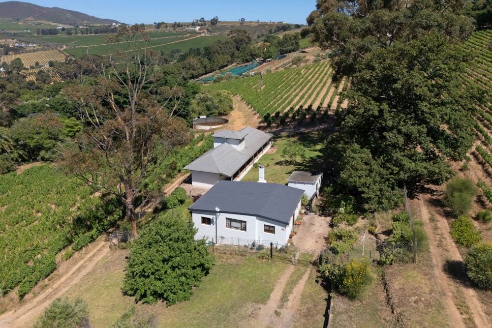 Wine farm for sale in Stellenbosch Farms - ST1643901 Wine farm for sale in Stellenbosch Farms - ST1643901