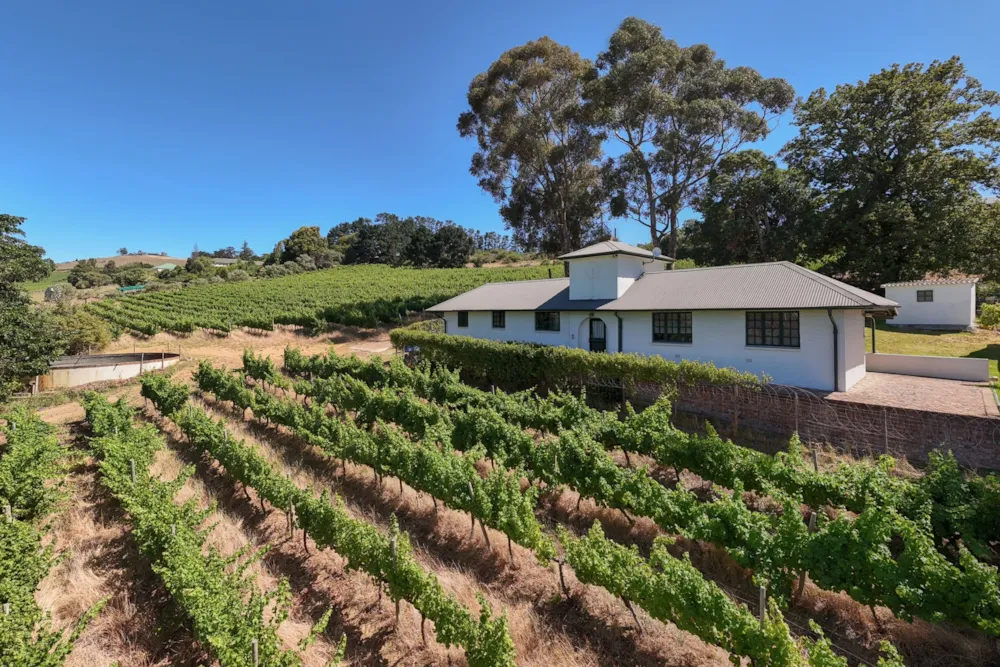 Wine farm for sale in Stellenbosch Farms - ST1643901 Wine farm for sale in Stellenbosch Farms - ST1643901