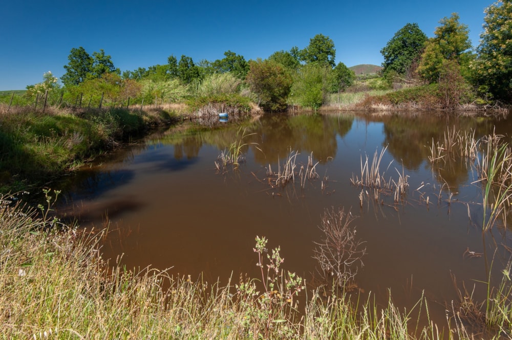 Lifestyle property sold in Stellenbosch Farms - ST1643922 Lifestyle property sold in Stellenbosch Farms - ST1643922
