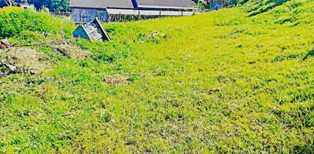 Vacant land for sale in Albersville - 1PX1644053