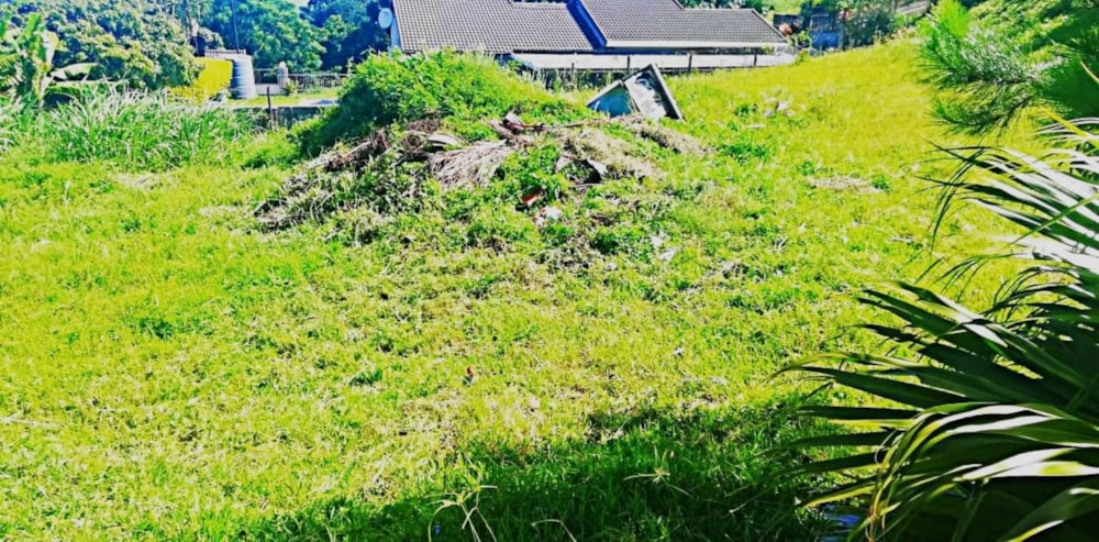 Vacant land for sale in Albersville - 1PX1644053