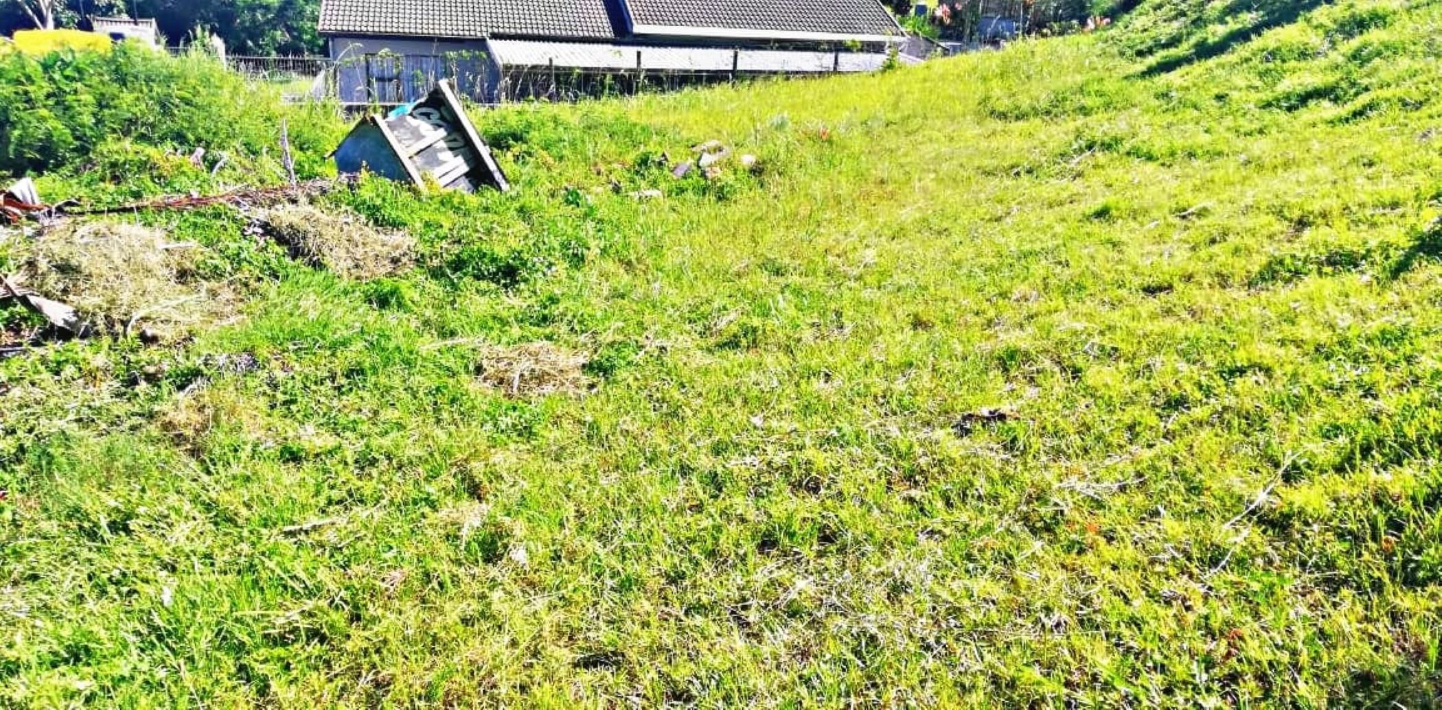 Vacant land for sale in Albersville - 1PX1644053