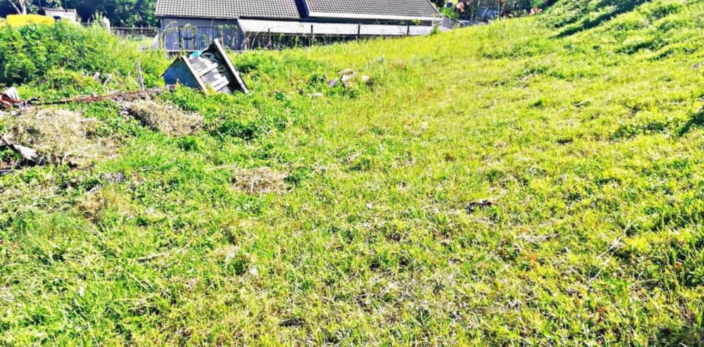 Vacant land for sale in Albersville - 1PX1644053