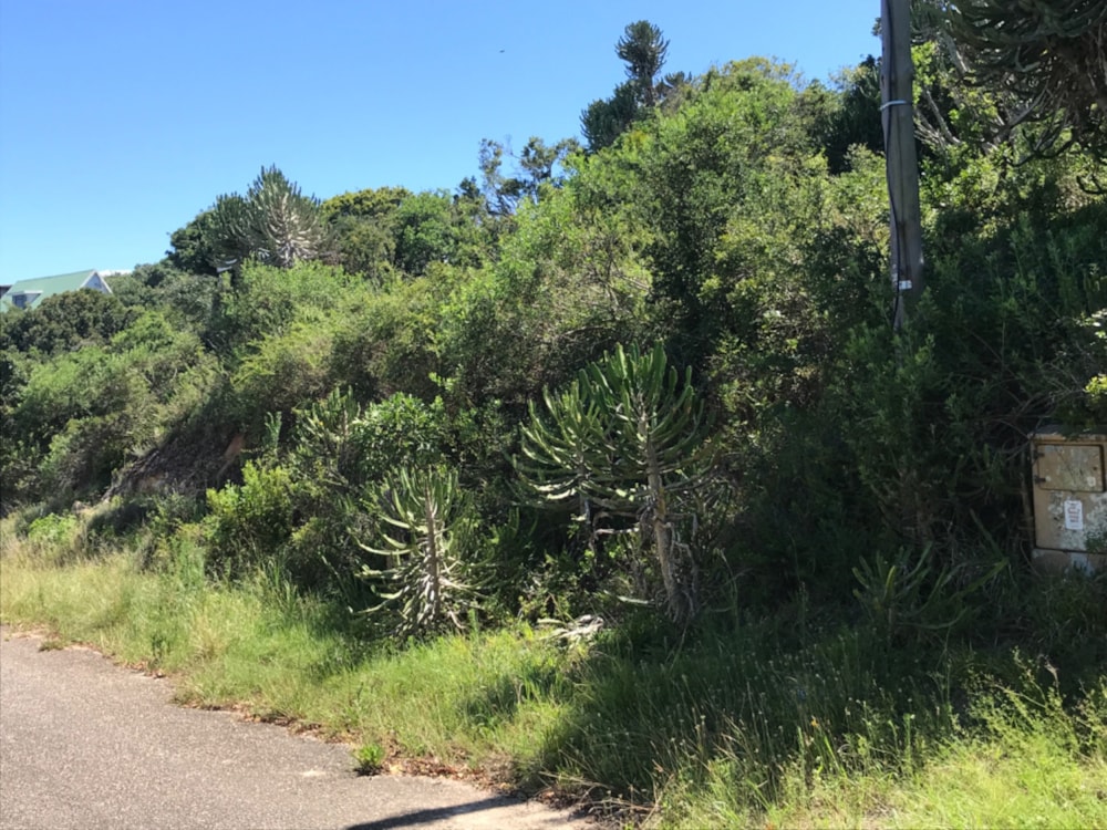 Residential vacant land sold in Kenton on Sea - 1KO1645011 Residential vacant land sold in Kenton on Sea - 1KO1645011