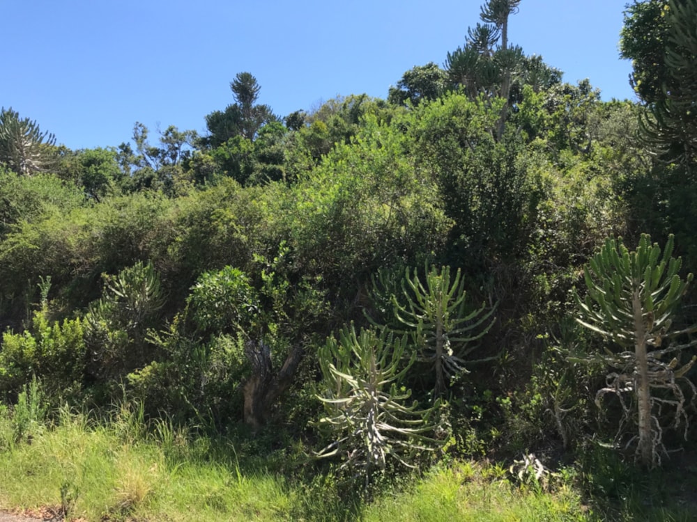 Residential vacant land sold in Kenton on Sea - 1KO1645011 Residential vacant land sold in Kenton on Sea - 1KO1645011