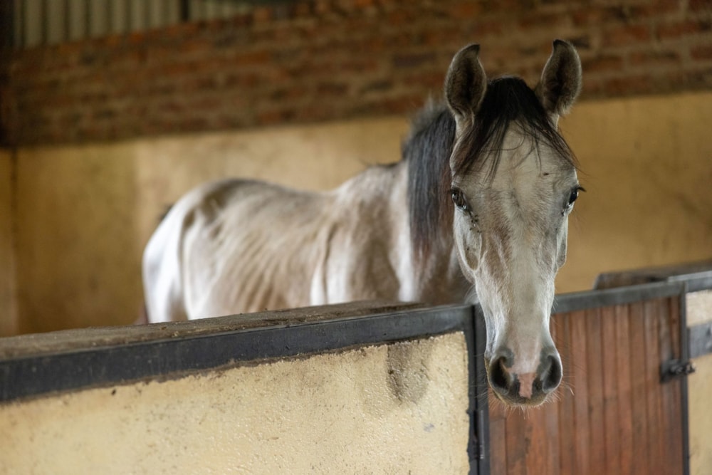 House for sale in Ruwa, Zimbabwe - 3ZB1644097 House for sale in Ruwa, Zimbabwe - 3ZB1644097