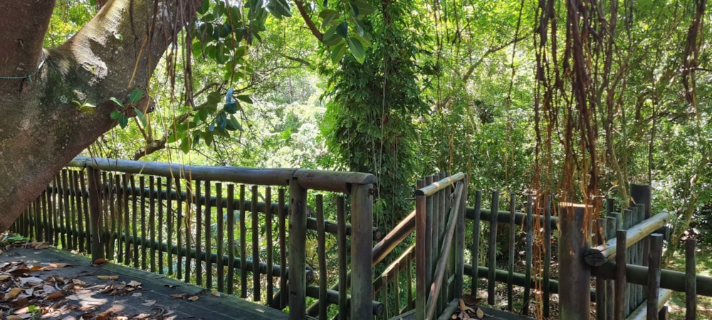 Double-storey house for sale in Banners Rest - 1PD1644106 Double-storey house for sale in Banners Rest - 1PD1644106