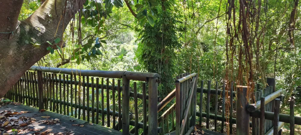 Double-storey house for sale in Banners Rest - 1PD1644106 Double-storey house for sale in Banners Rest - 1PD1644106