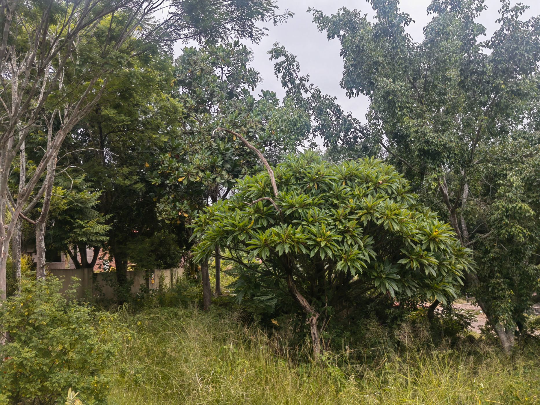 Residential vacant land for sale in Nelspruit (Mbombela) - 1NS1644127