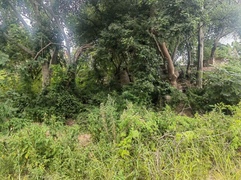 Residential vacant land for sale in Nelspruit (Mbombela) - 1NS1644127