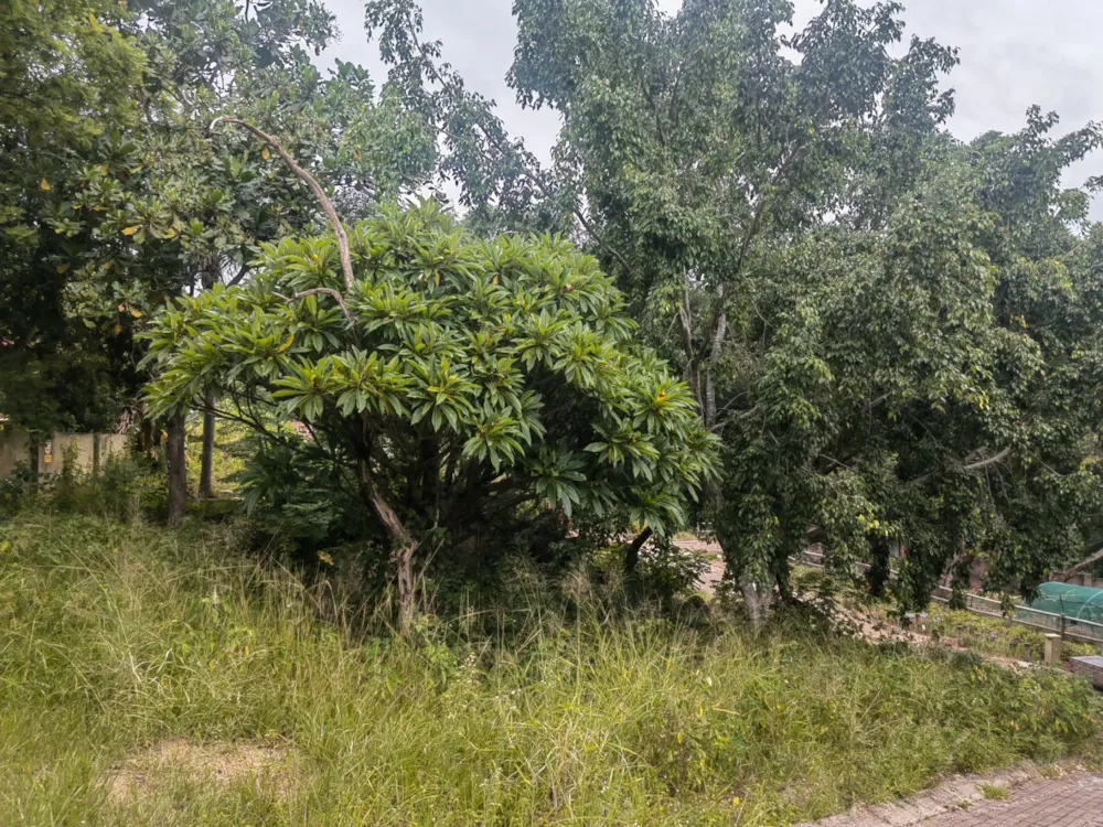 Residential vacant land for sale in Nelspruit (Mbombela) - 1NS1644127