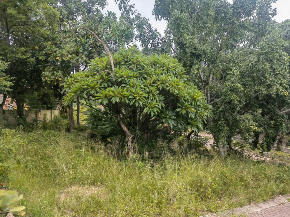 Residential vacant land for sale in Nelspruit (Mbombela) - 1NS1644127