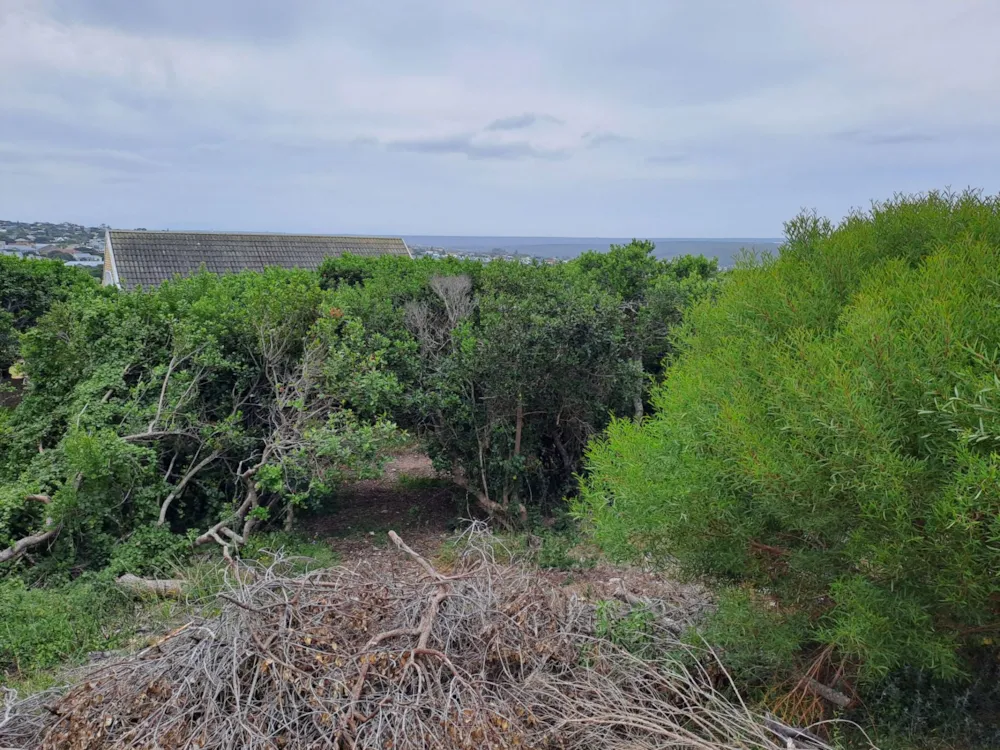 Vacant land for sale in Stilbaai West - 1SR1644576