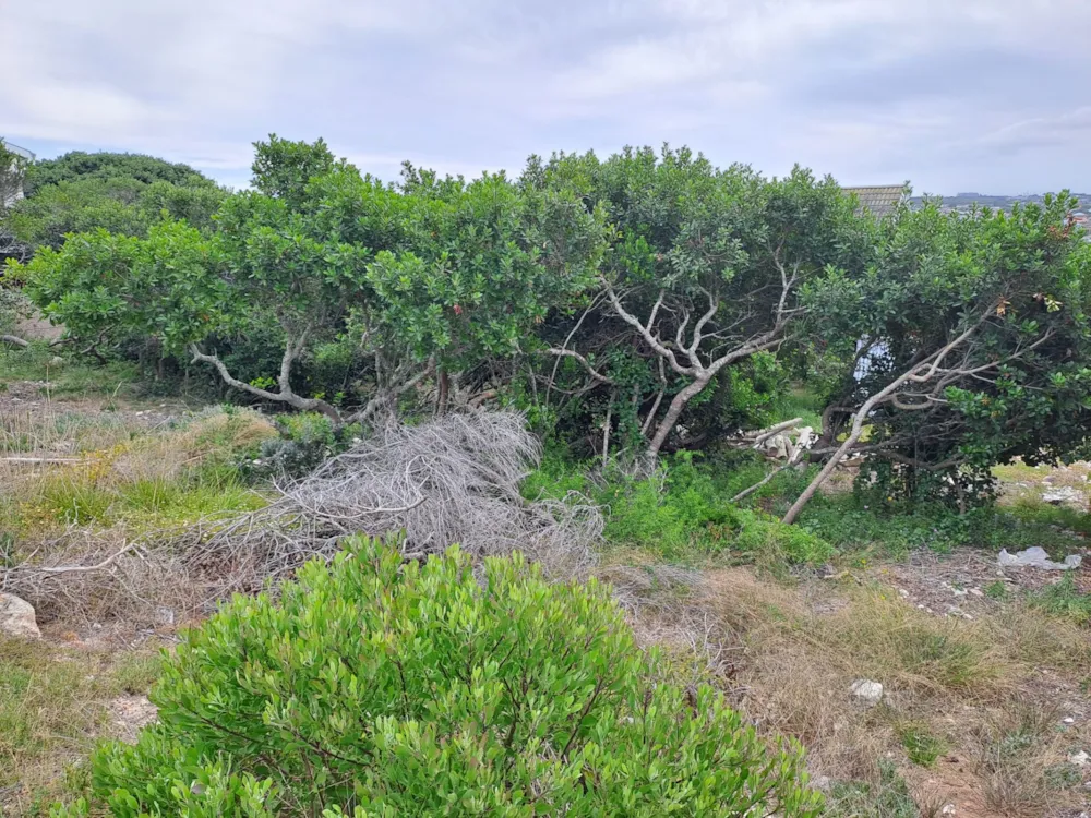 Vacant land for sale in Stilbaai West - 1SR1644576