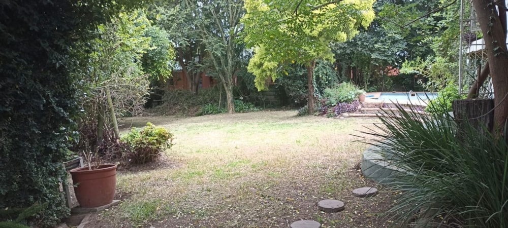 House let in Mthatha Central - 1MH1648931 House let in Mthatha Central - 1MH1648931