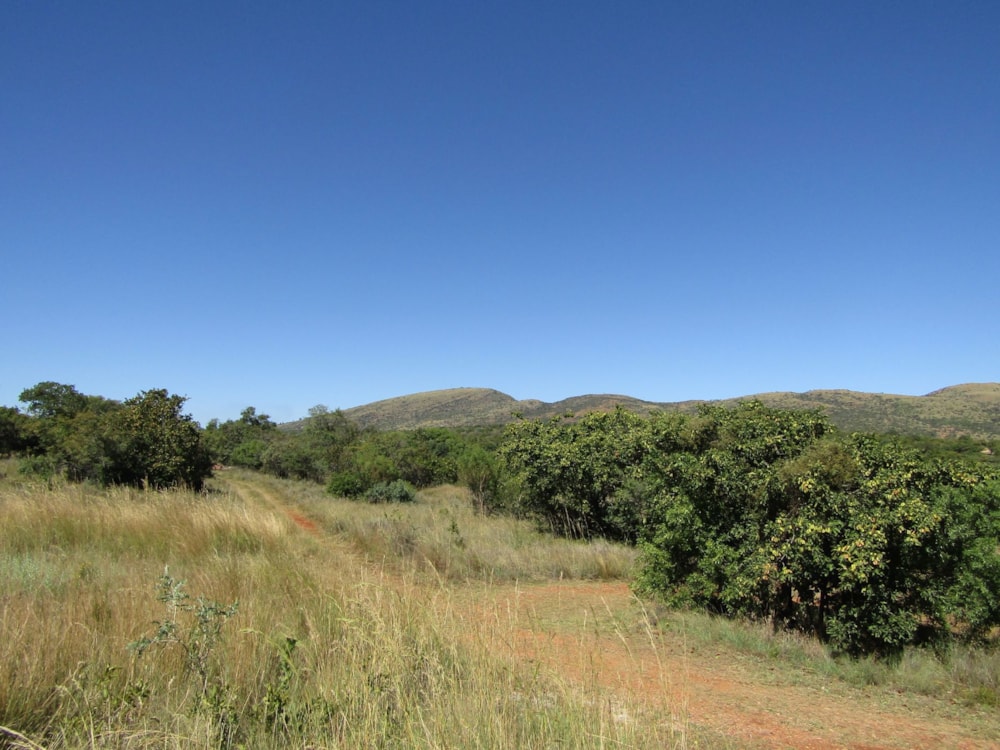 Vacant land for sale in Seasons Eco Golf Estate - 1HR1644635