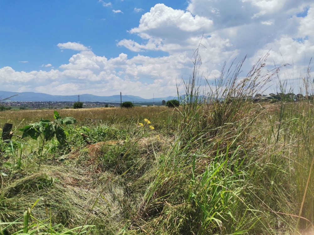 Commercial vacant land for sale in Lydenburg (Mashishing) - 1LY1644693