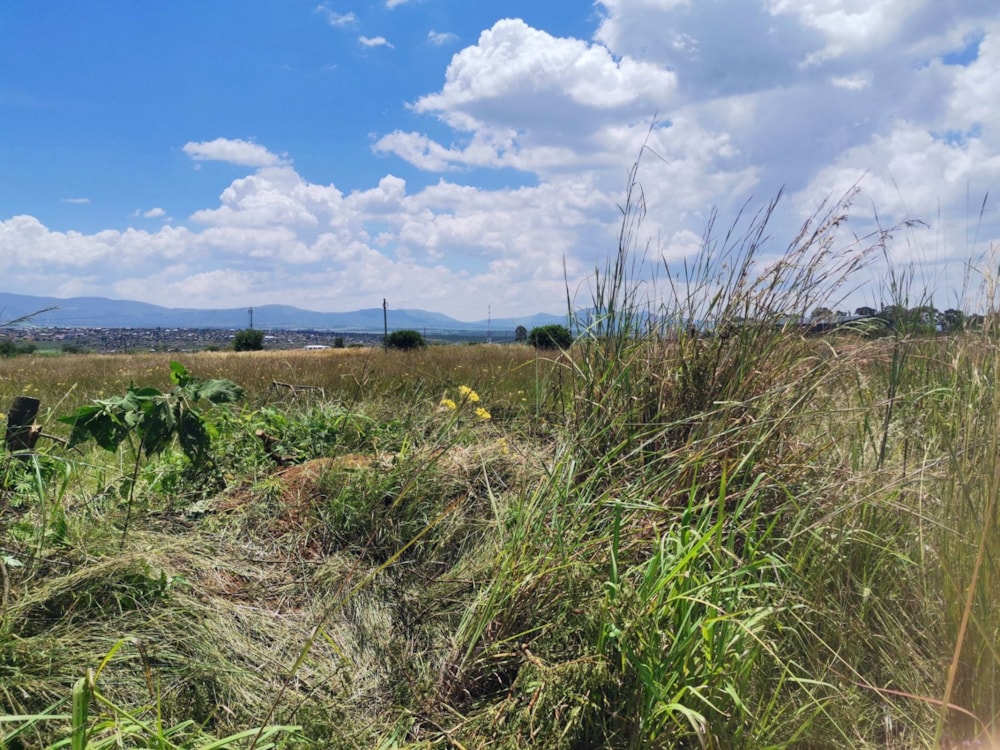 Commercial vacant land for sale in Lydenburg (Mashishing) - 1LY1644693