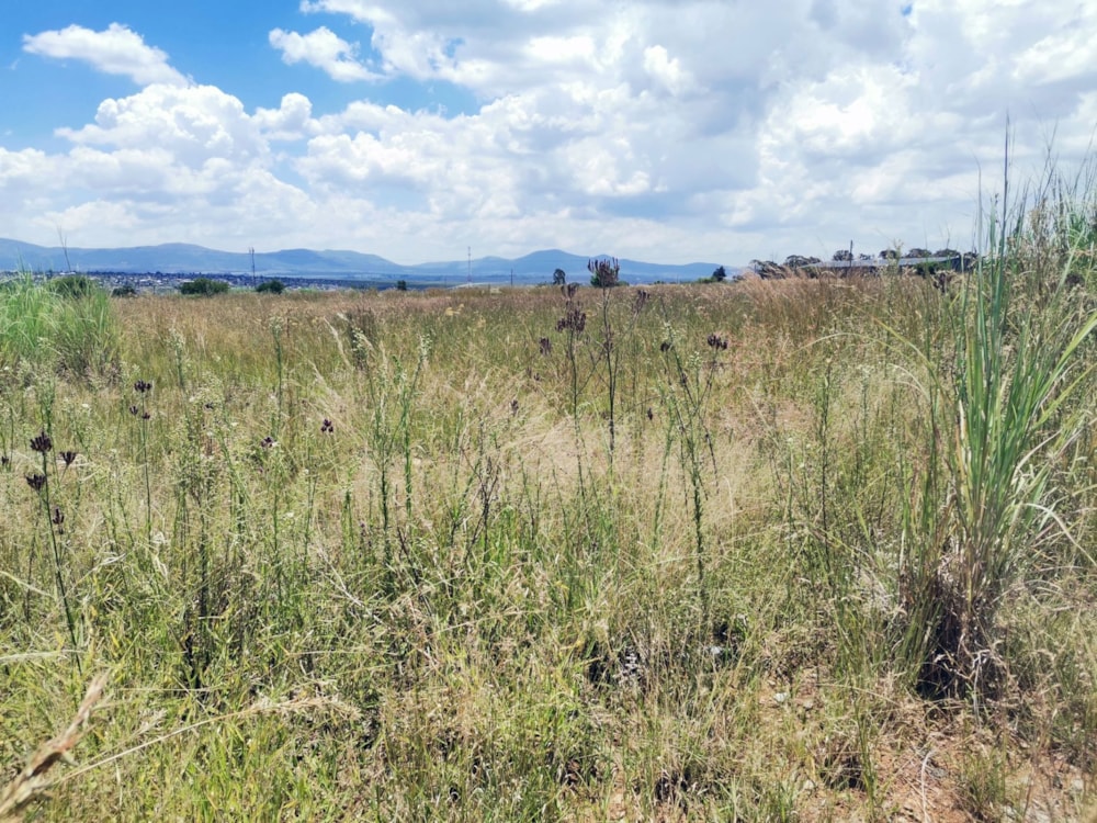 Vacant land for sale in Lydenburg (Mashishing) - 1LY1644669