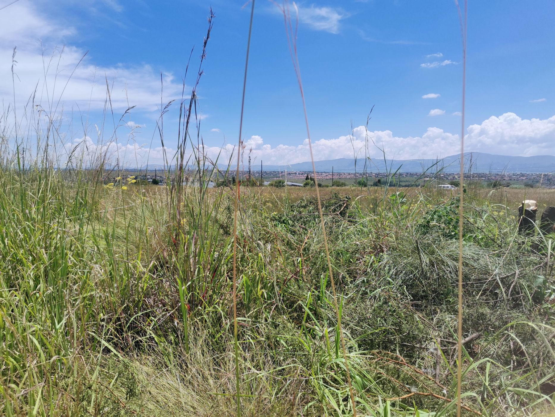 Vacant land for sale in Lydenburg (Mashishing) - 1LY1644669