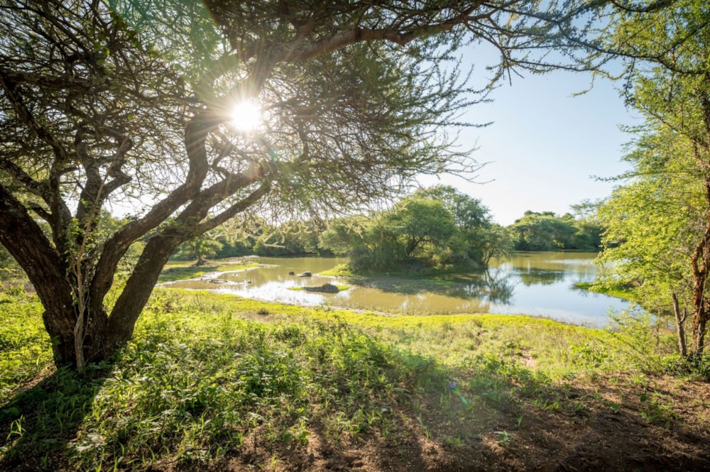 House to rent in Raptors View Wildlife Estate - 1HS1641710