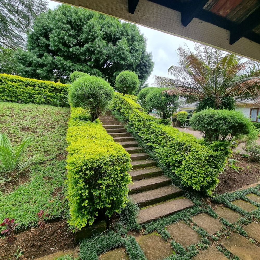 Bachelor apartment to rent in Hillcrest, Upper Highway - 1KF1732980