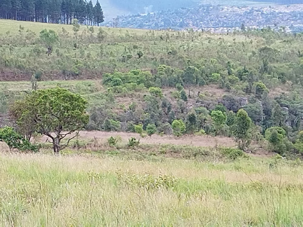 Vacant land sold in Sabie - 1LY1642306 Vacant land sold in Sabie - 1LY1642306