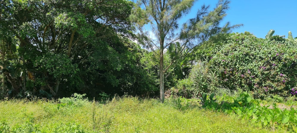 Residential vacant land for sale in Port Edward - 1PD1644092