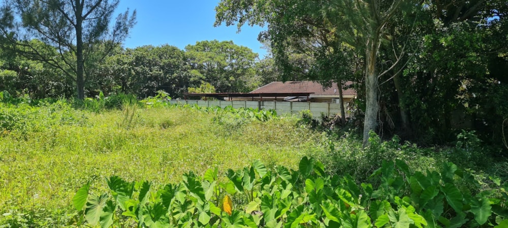 Residential vacant land for sale in Port Edward - 1PD1644092