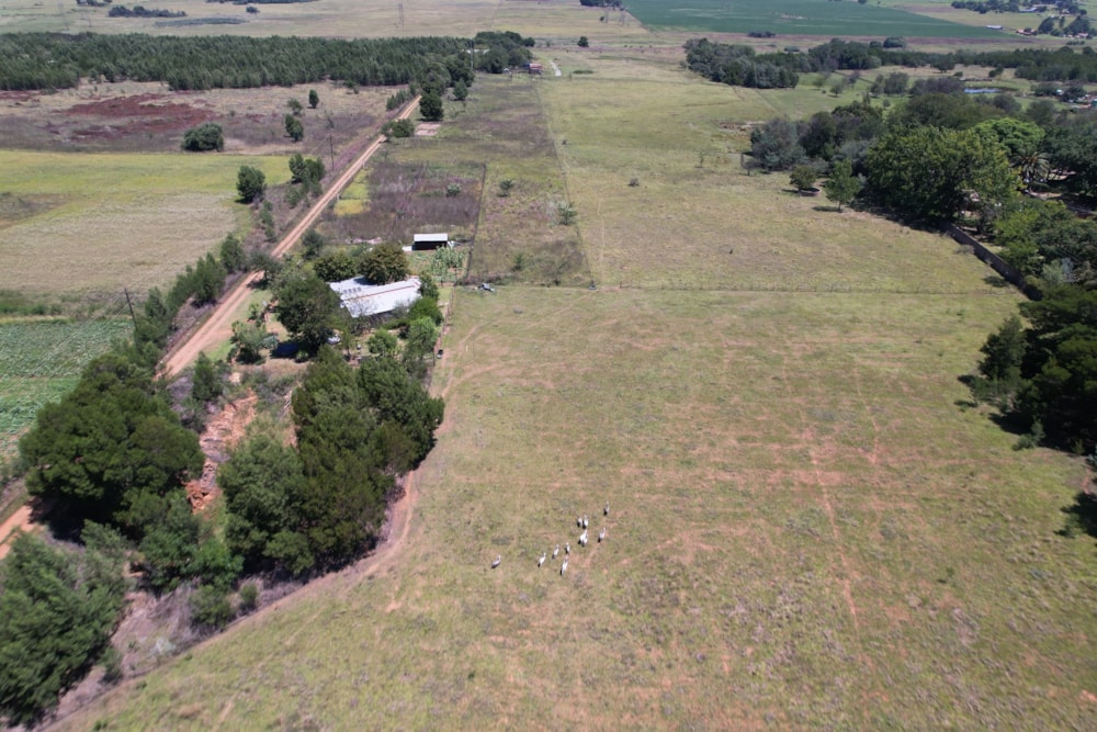 Lifestyle property sold in Bashewa AH  - PRN1647376