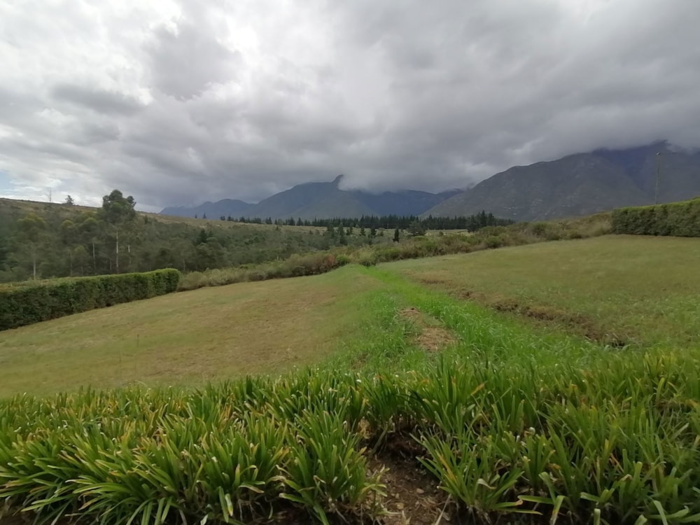 Residential vacant land sold in Swellendam - 1SW1647038 Residential vacant land sold in Swellendam - 1SW1647038